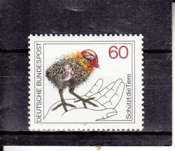 NSR 1102 ** - 1981